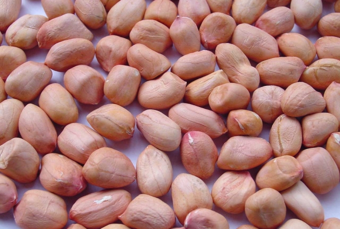 9 lưu ý để sử dụng máy bóc vỏ lạc hiệu quả