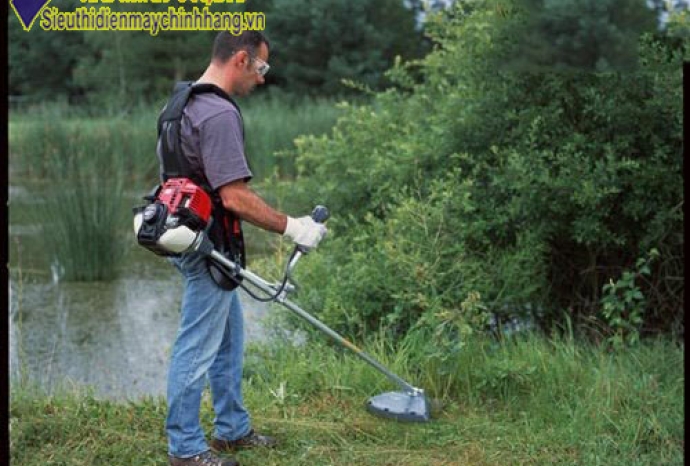 Chọn mua máy cắt cỏ Honda chính hãng, giá tốt ở đâu?