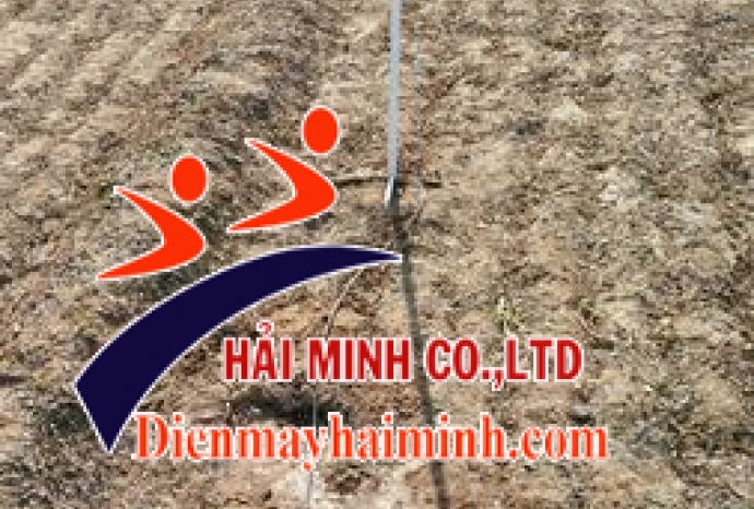 Máy đo độ ẩm đất thiết bị quan trọng giúp cây trồng phát triển tốt nhất