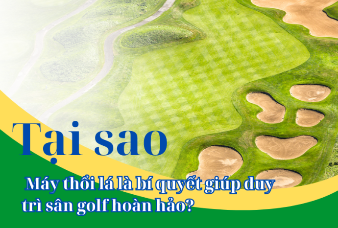 Tại sao máy thổi lá là bí quyết giúp duy trì sân golf hoàn hảo?