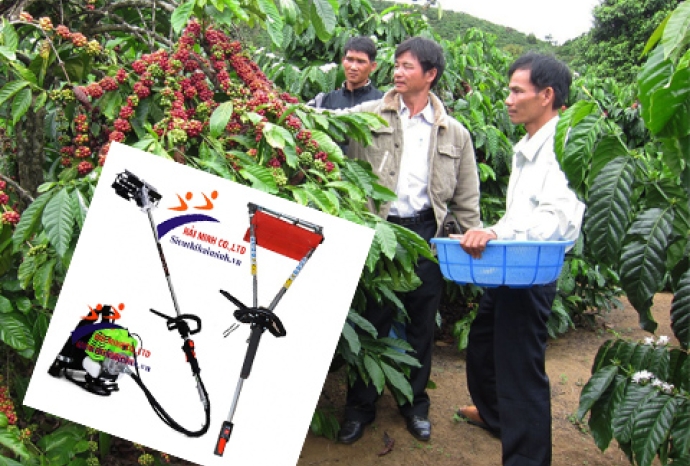 Báo giá các loại máy làm cỏ cà phê được sử dụng nhiều nhất.