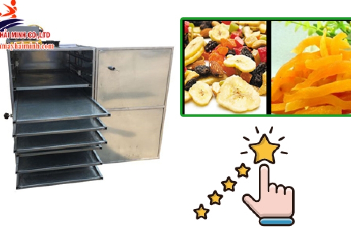Review máy sấy hoa quả 10 khay Yamafuji HM10SD