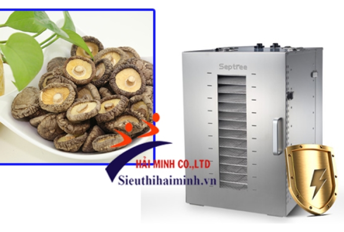 Mua ngay 3 máy sấy thực phẩm giá rẻ cho sấy nấm