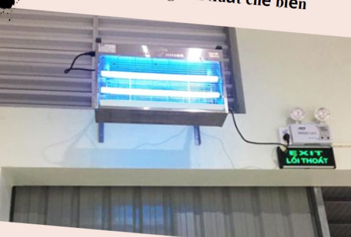 Vị trí thích hợp để lắp đèn diệt côn trùng tại các xưởng sản xuất chế biến