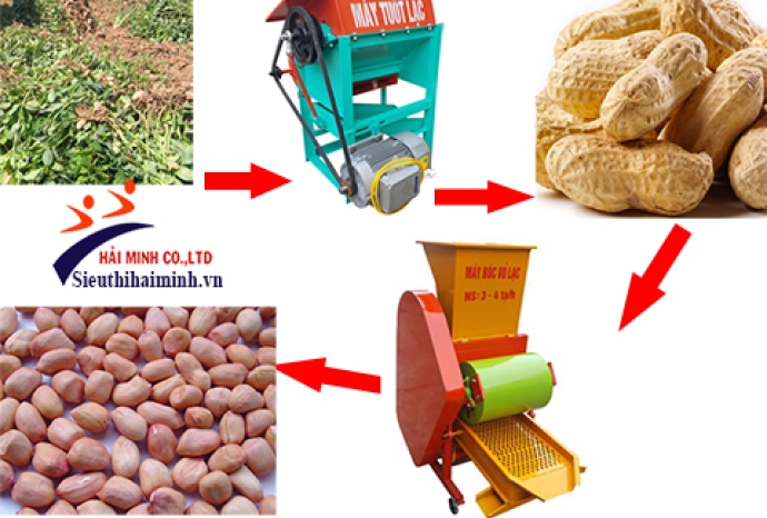 Máy bóc vỏ lạc - Cánh tay hỗ trợ đắc lực của người nông dân