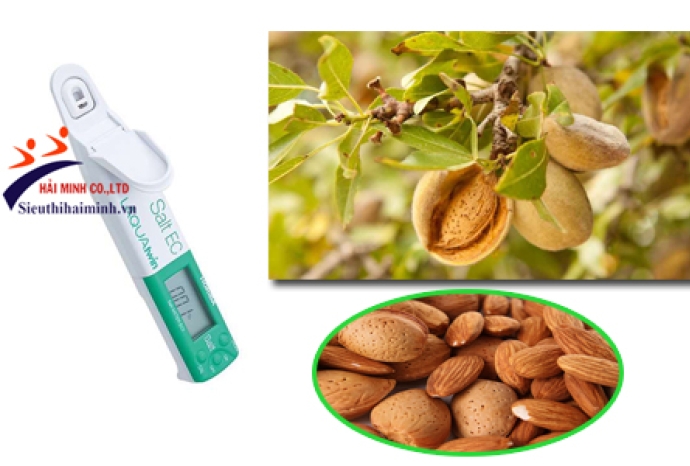 Vì sao bạn cần xác định độ mặn của đất trong vườn cây hạnh nhân?