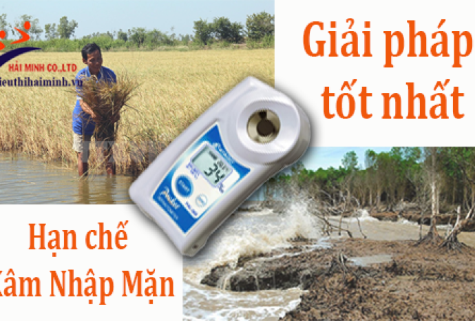 Làm thế nào để giải quyết vấn đề xâm nhập mặn hiệu quả nhất?