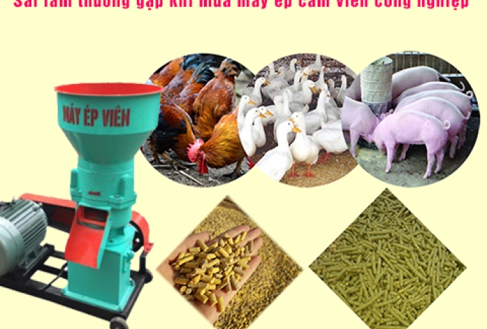 Sai Lầm Thường Gặp Khi Mua Máy Ép Cám Viên Công Nghiệp