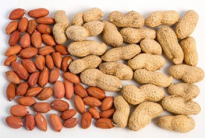 5 lý do để mua ngay máy bóc vỏ lạc gia đình