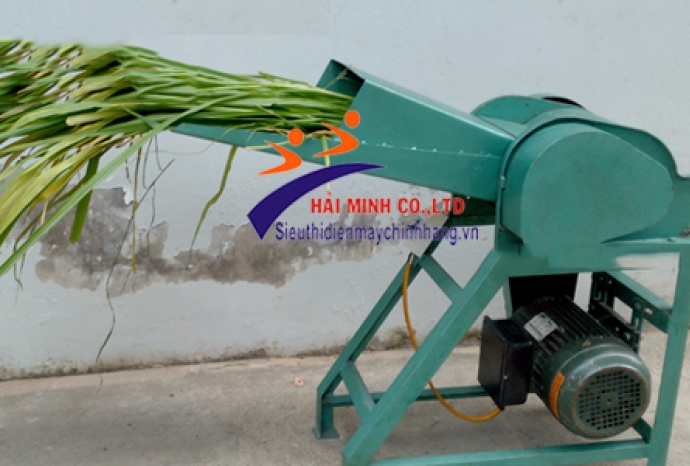 Ứng dụng của máy băm cỏ đối với chăn nuôi bò