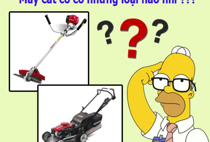 Máy cắt cỏ có những loại nào?
