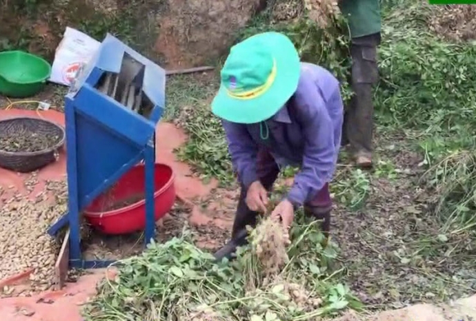 Máy tuốt lạc có những ưu điểm gì nổi trội