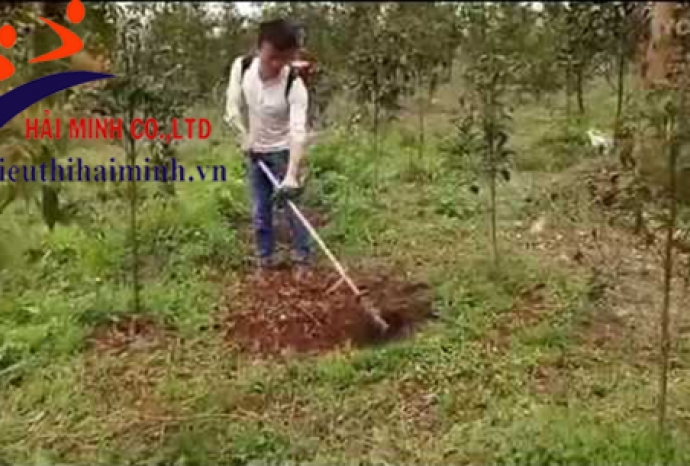 Máy xạc cỏ đeo lưng DL 330 – Giải pháp toàn diện cho sân vườn của bạn