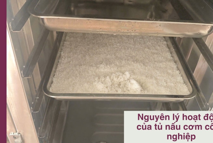 Nguyên lý hoạt động của tủ nấu cơm công nghiệp