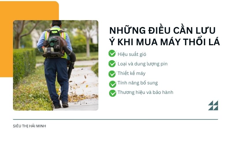 Những điều cần lưu ý khi mua máy thổi lá 