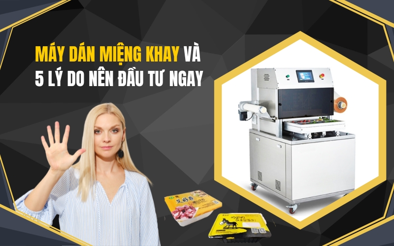 Máy Dán Miệng Khay Và 5 Lý Do Nên Đầu Tư Ngay