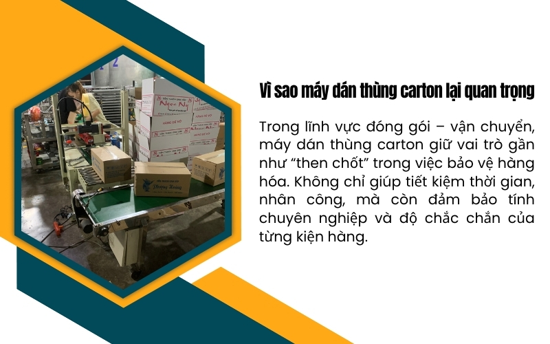 Vì sao máy dán thùng carton lại quan trọng