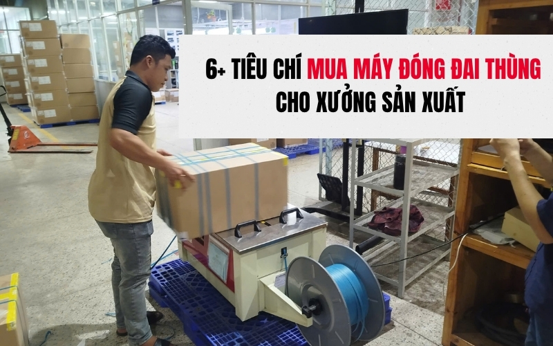 6+ tiêu chí mua máy đóng đai thùng cho xưởng sản xuất 