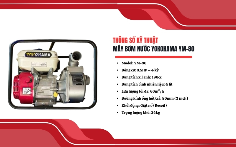 Thông số kỹ thuật của máy bơm nước Yokohama YM-80