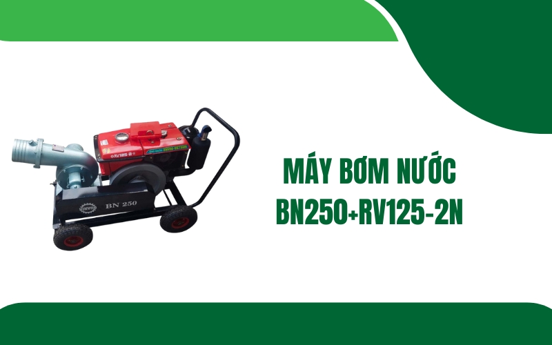 Máy bơm nước BN250+RV125-2N