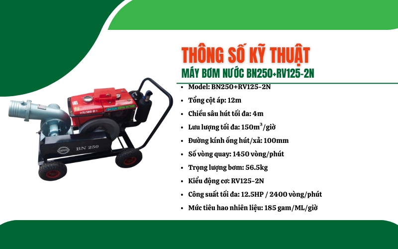 Thông số kỹ thuật của máy bơm nước BN250+RV125-2N
