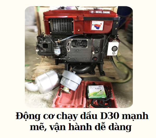 Động cơ chạy dầu D30