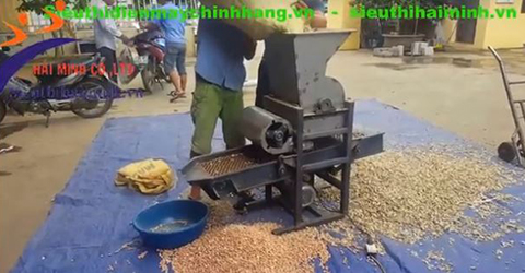 Giá máy bóc vỏ đậu phộng