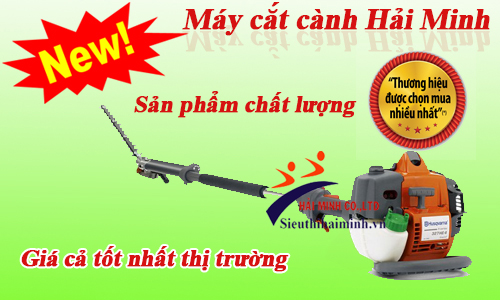 Máy cắt cành trên cao với giá thành rẻ tốt nhất thị trường