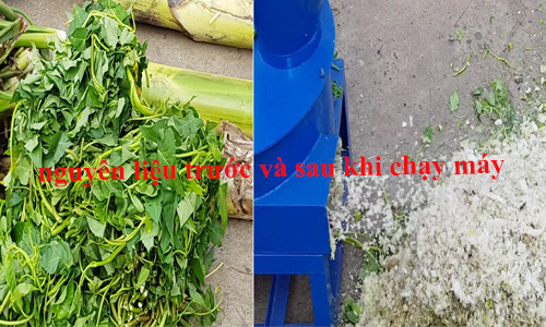 nguyên liệu trước và sau khi chạy máy