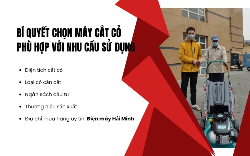 Bí quyết chọn máy cắt cỏ phù hợp với nhu cầu sử dụng