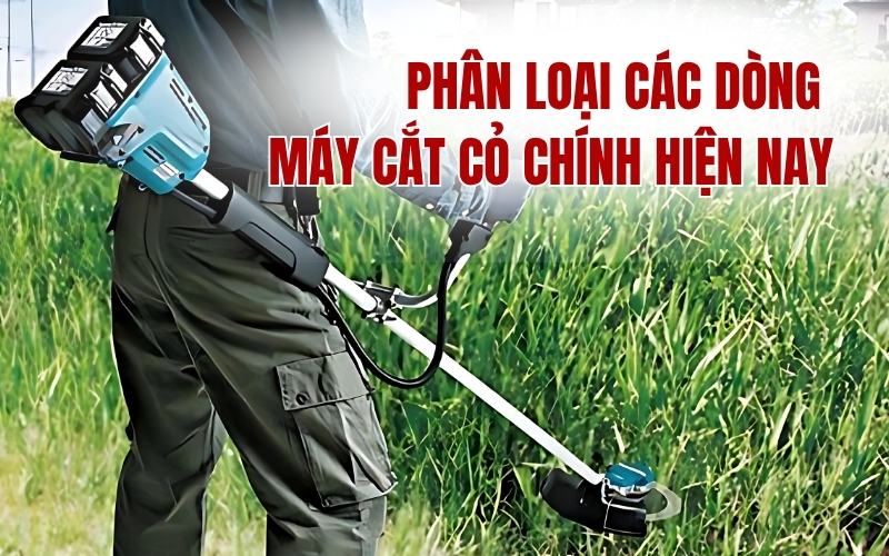 Phân loại các dòng máy cắt cỏ chính hiện nay