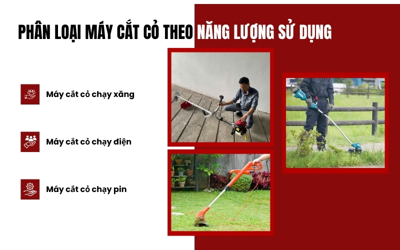 Phân loại máy cắt cỏ theo năng lượng sử dụng