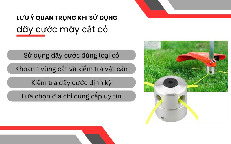 Lưu ý quan trọng khi sử dụng dây cước máy cắt cỏ