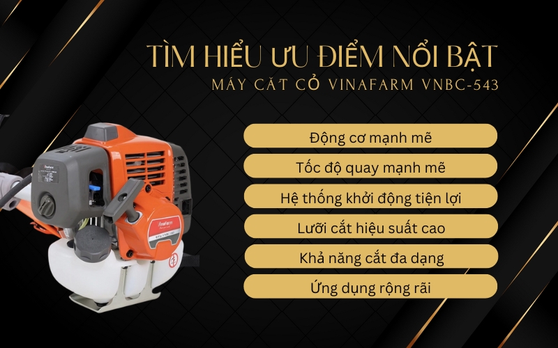 Tìm hiểu ưu điểm nổi bật của Máy cắt cỏ Vinafarm VNBC-543