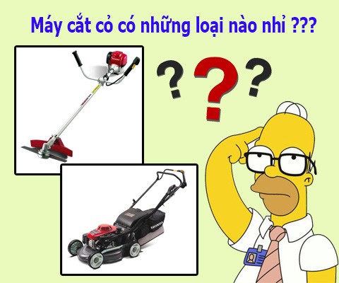 các loại của máy cắt cỏ hiện nay