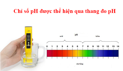 Chỉ số pH cho phép chúng ta biết được đặc tính của môi trường
