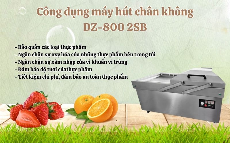 Máy hút chân không Yamafuji DZ-800 2SB