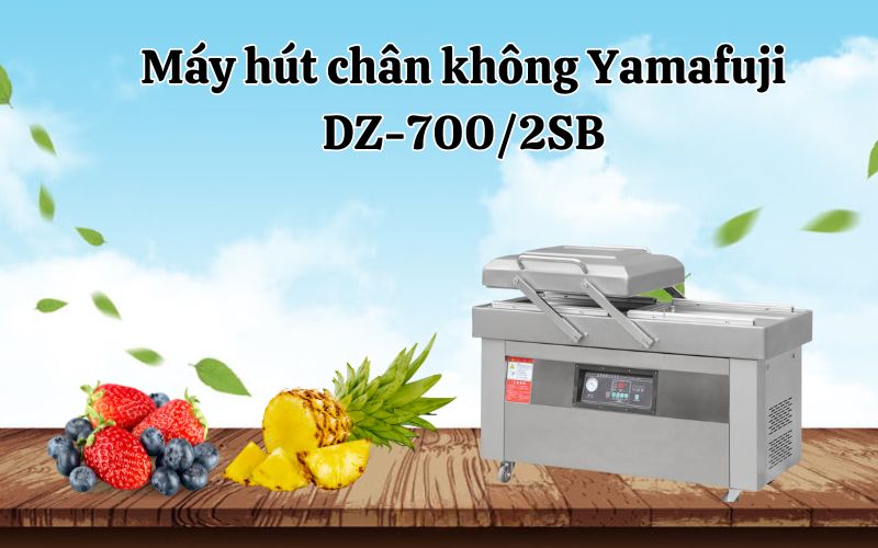 Máy hút chân không Yamafuji DZ-700/2SB