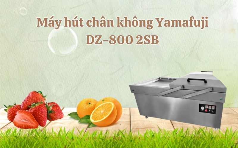 Máy hút chân không Yamafuji DZ-800 2SB