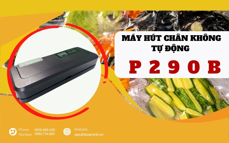 Máy hút chân không tự động P290B (không kén túi)