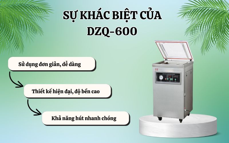 . Ưu điểm nổi bật của máy hút chân không DZ-500
