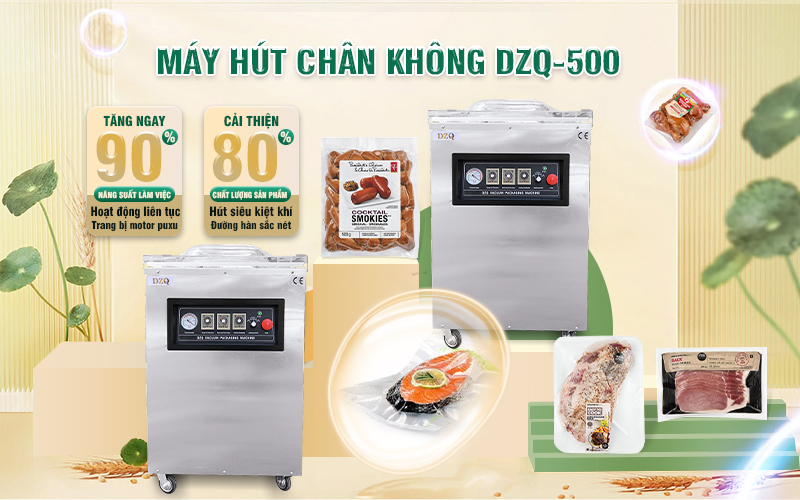 Máy hút chân không DZQ 500 (Motor Puxu)