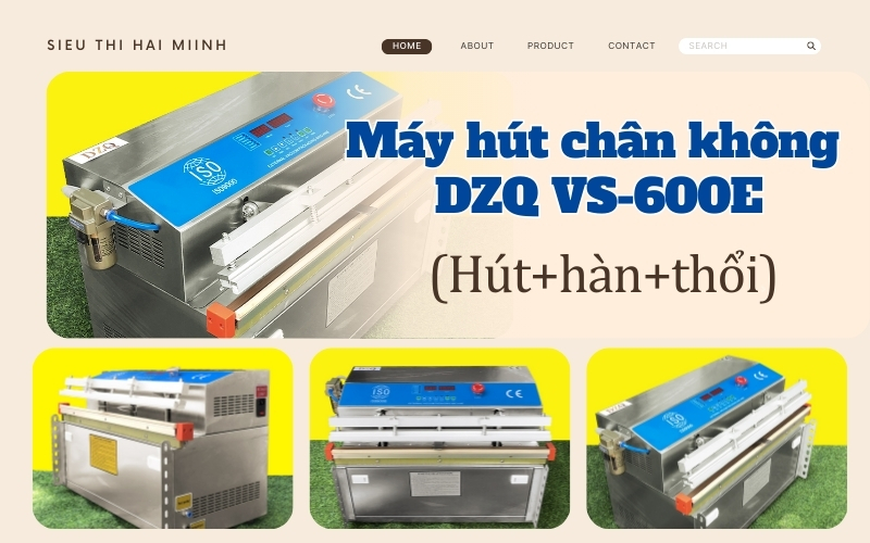 Máy hút chân không vòi ngoài DZQ VS – 600E