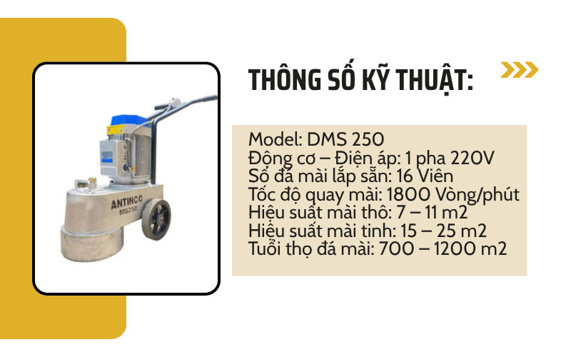 Máy Mài Sàn Bê Tông 1 pha ANTICO DMS 250