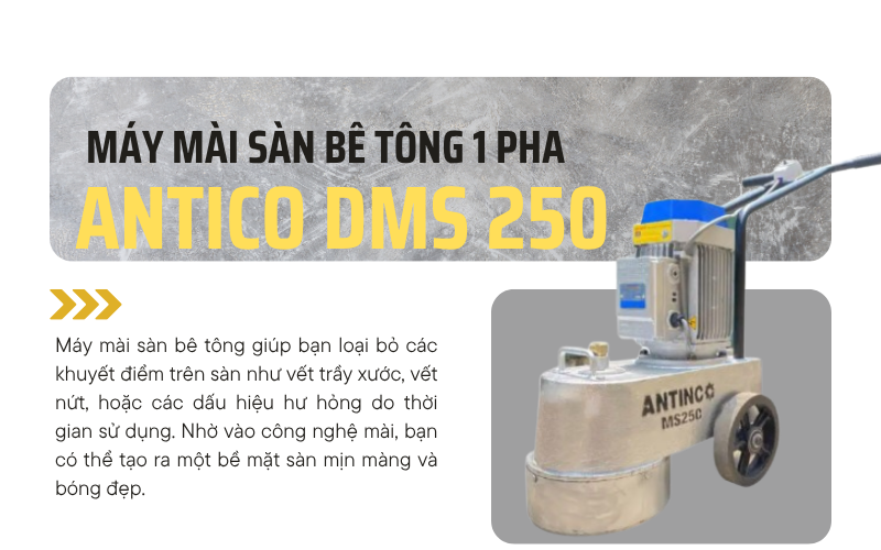 Máy Mài Sàn Bê Tông 1 pha ANTICO DMS 250