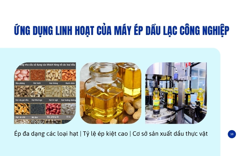 Ứng dụng linh hoạt của máy ép dầu lạc công nghiệp