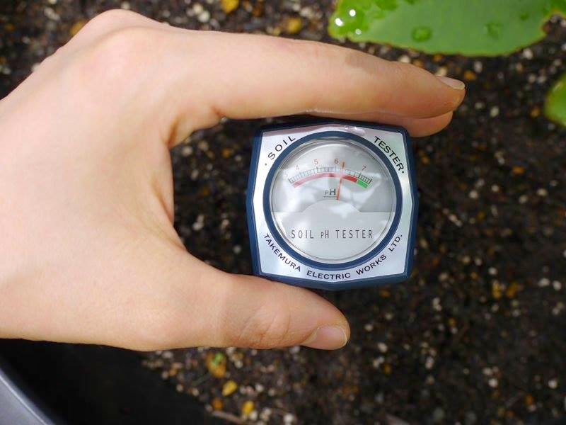 máy đo độ ẩm của đất