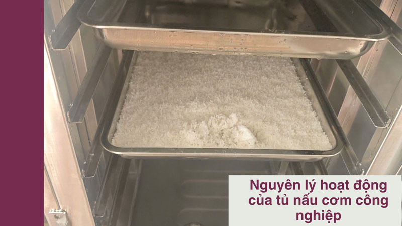 nguyen-ly-hoat-dong-cua-tu-nau-com-cong-nghiep