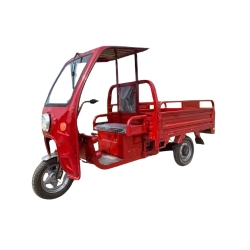 Xe điện chở hàng 1.6 Egale