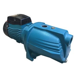 Máy bơm đầu gang Lepono AJm 75